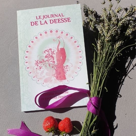 livre Journal de la Déesse Catalina Boncilica auteur